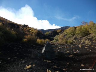 llone monte Zappinazzo-04-11-2012 09-58-44